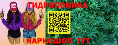 мдпв Нальчик