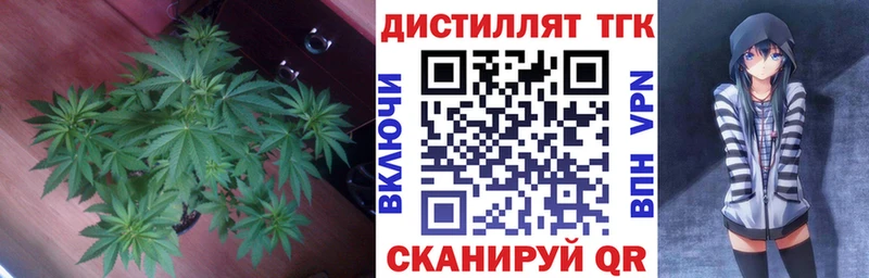 ТГК гашишное масло  кракен ССЫЛКА  Находка 