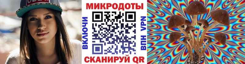 Галлюциногенные грибы Psilocybe  Находка 
